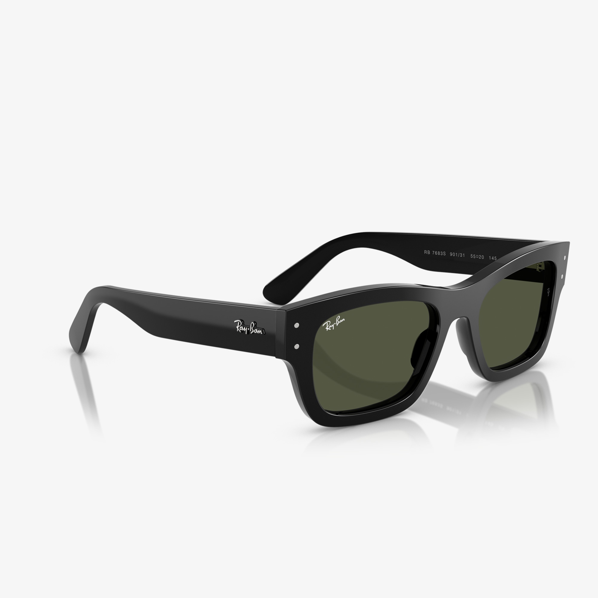 Ray-Ban Joseph RB7683S Unisex Siyah Güneş Gözlüğü