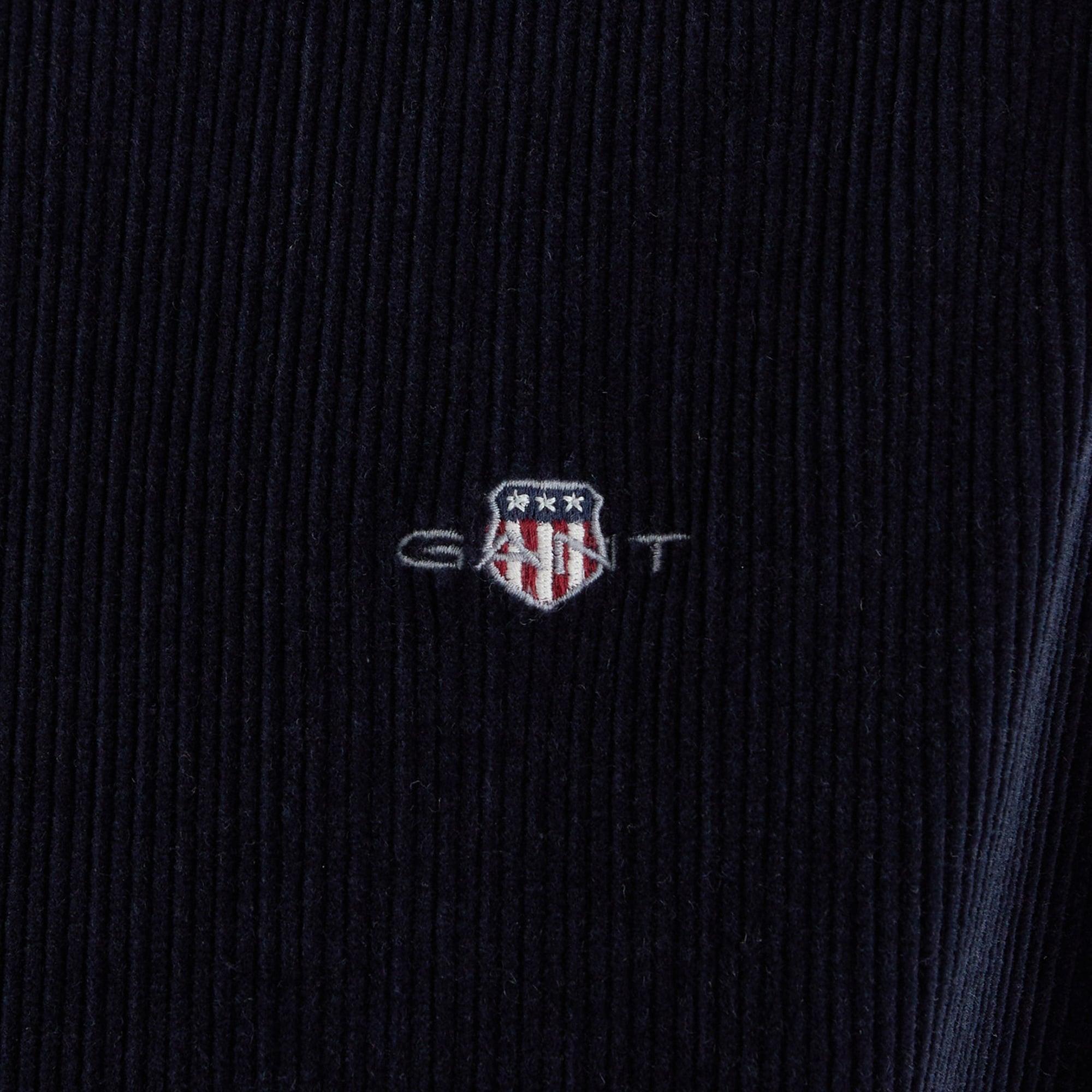 GANT Erkek Lacivert Regular Fit Mont