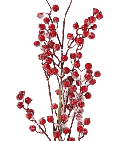  YARGICI Obje(16x75x2 cm)