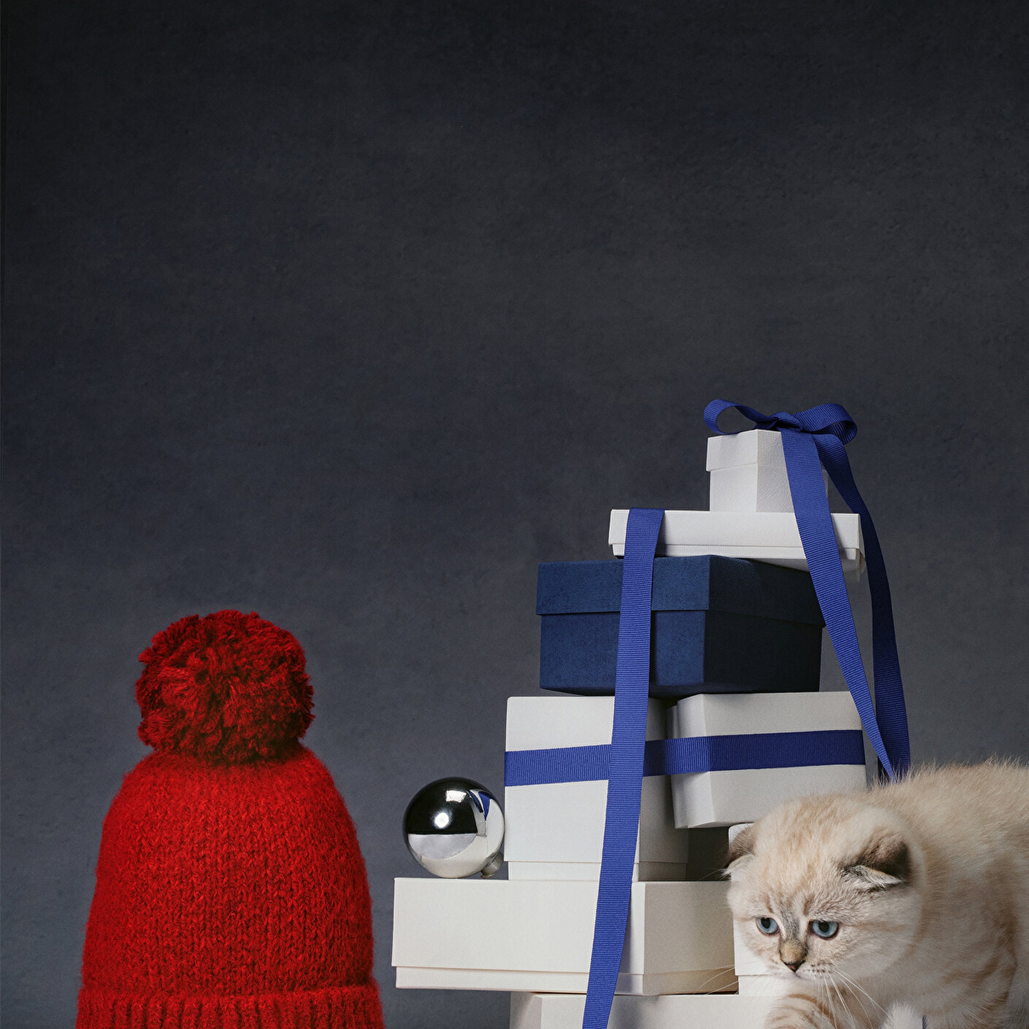 Mavi Yılbaşı Temalı Miav Bere 1913311-32330