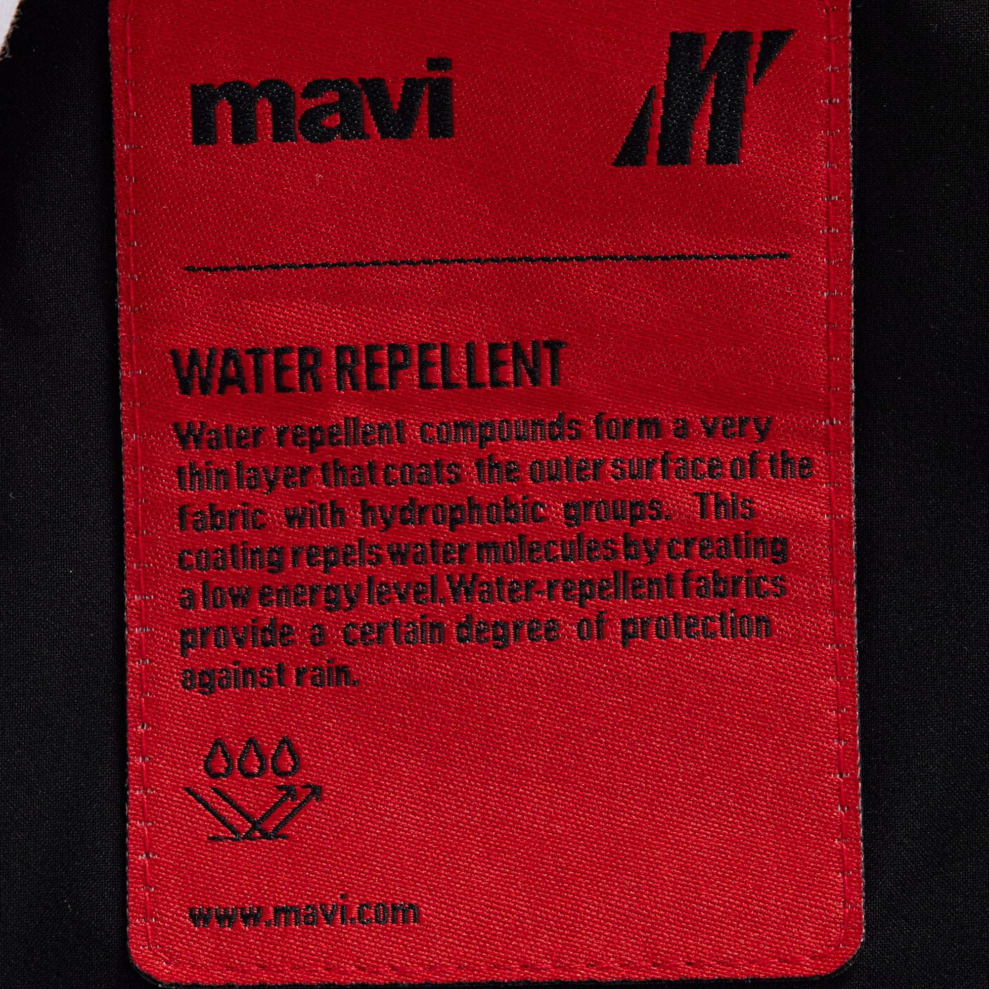 Mavi Kapüşonlu Siyah Şişme Mont 0110675-71379