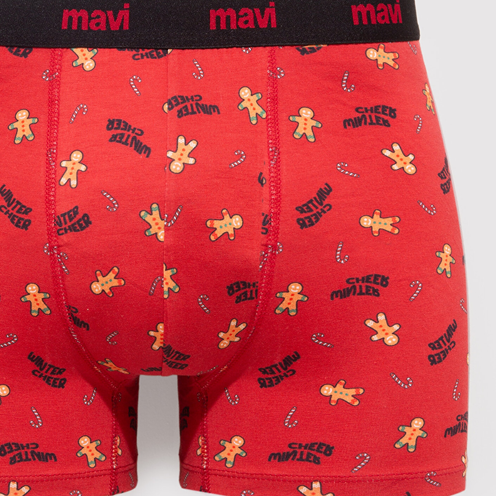 Mavi Baskılı Boxer 0912133-32421