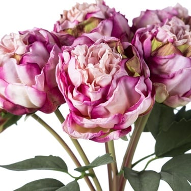  ŞAKAYIK BUKET MOR 40 CM