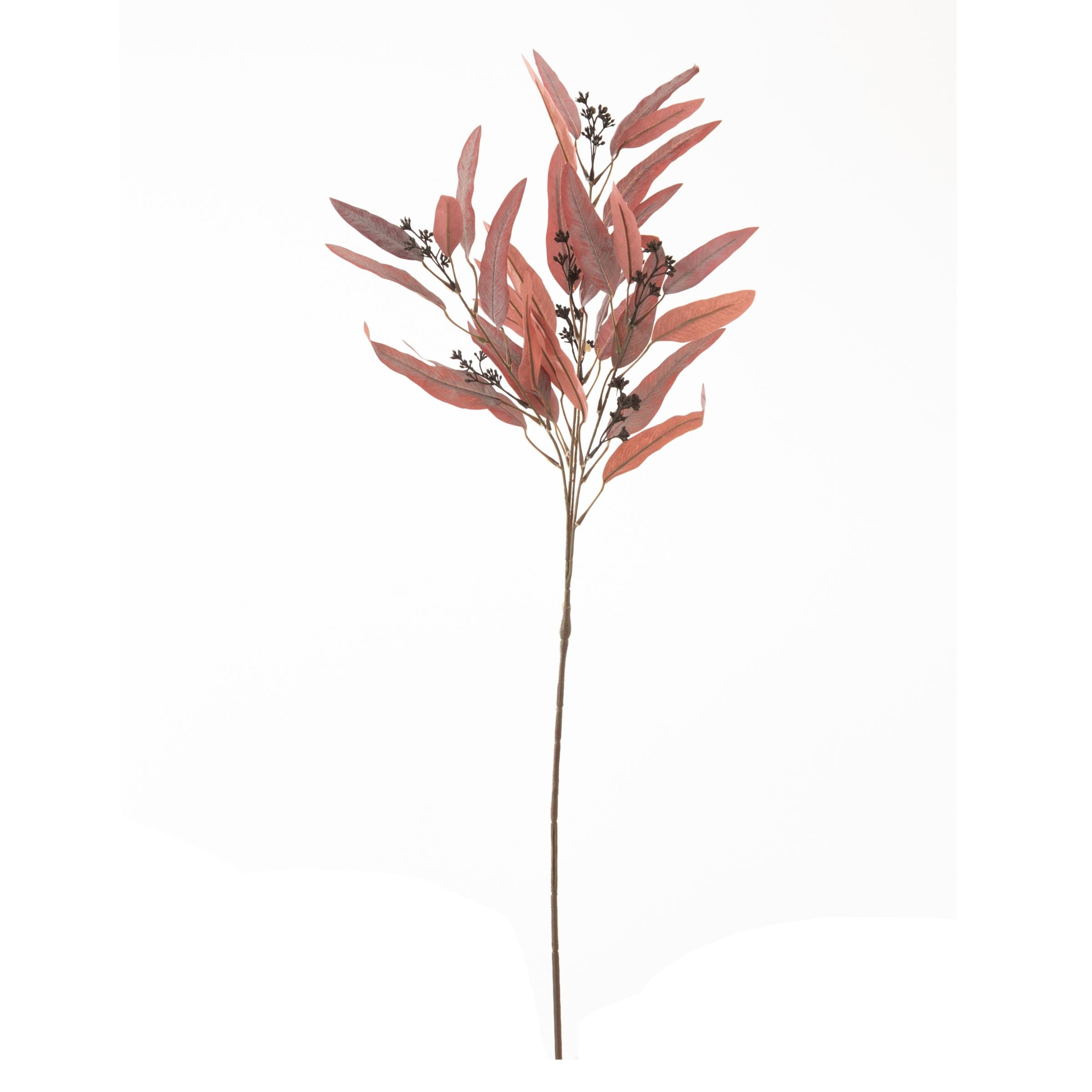  OKALİPTÜS BORDO DAL ÇİÇEK 78 CM