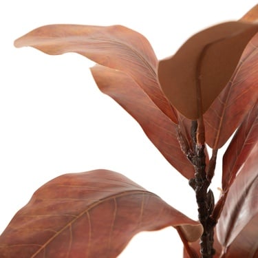  MANOLYA DAL ÇİÇEK 48 CM