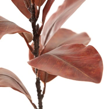  MANOLYA DAL ÇİÇEK 48 CM