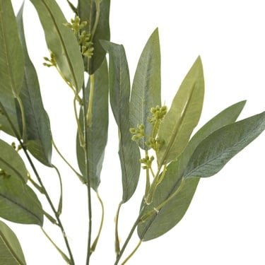  OKALİPTÜS YEŞİL DAL ÇİÇEK 78 CM