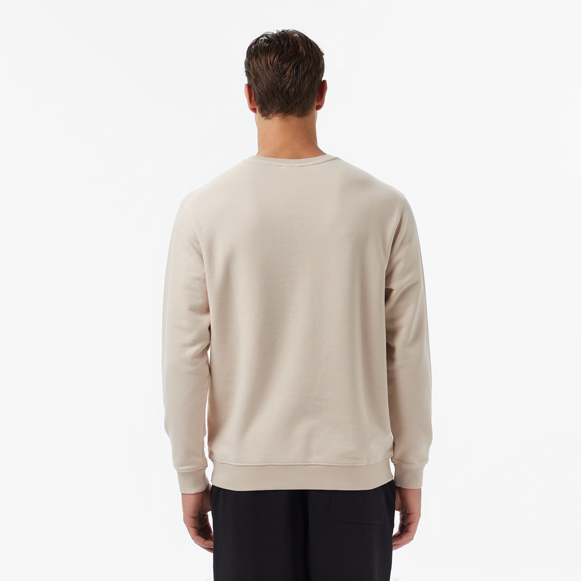 Columbia Cs0450 Csc Boxy Brand Crew Erkek Bej Sweatshirt