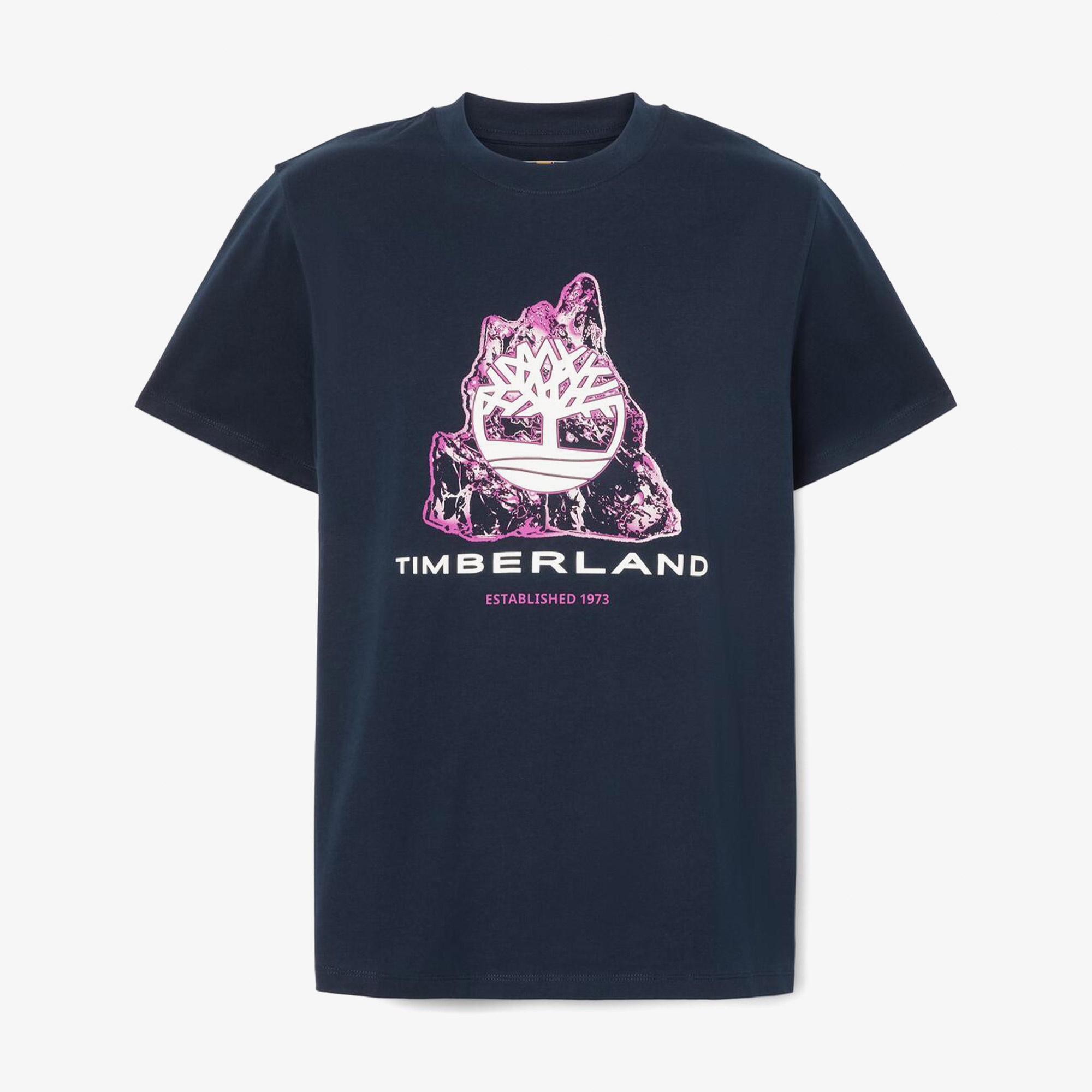 Timberland Front Seasonal Tree Logo Graphic Erkek Lacivert T-Shirt