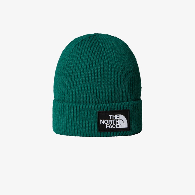  The North Face Logo Box Cuffed Unisex Yeşil Bere