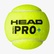 Head Head Pro+ 6DZ 3'lü Padel Topu