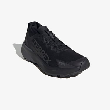  adidas Terrex Agravic Gore-Tex Erkek Siyah Koşu Ayakkabısı