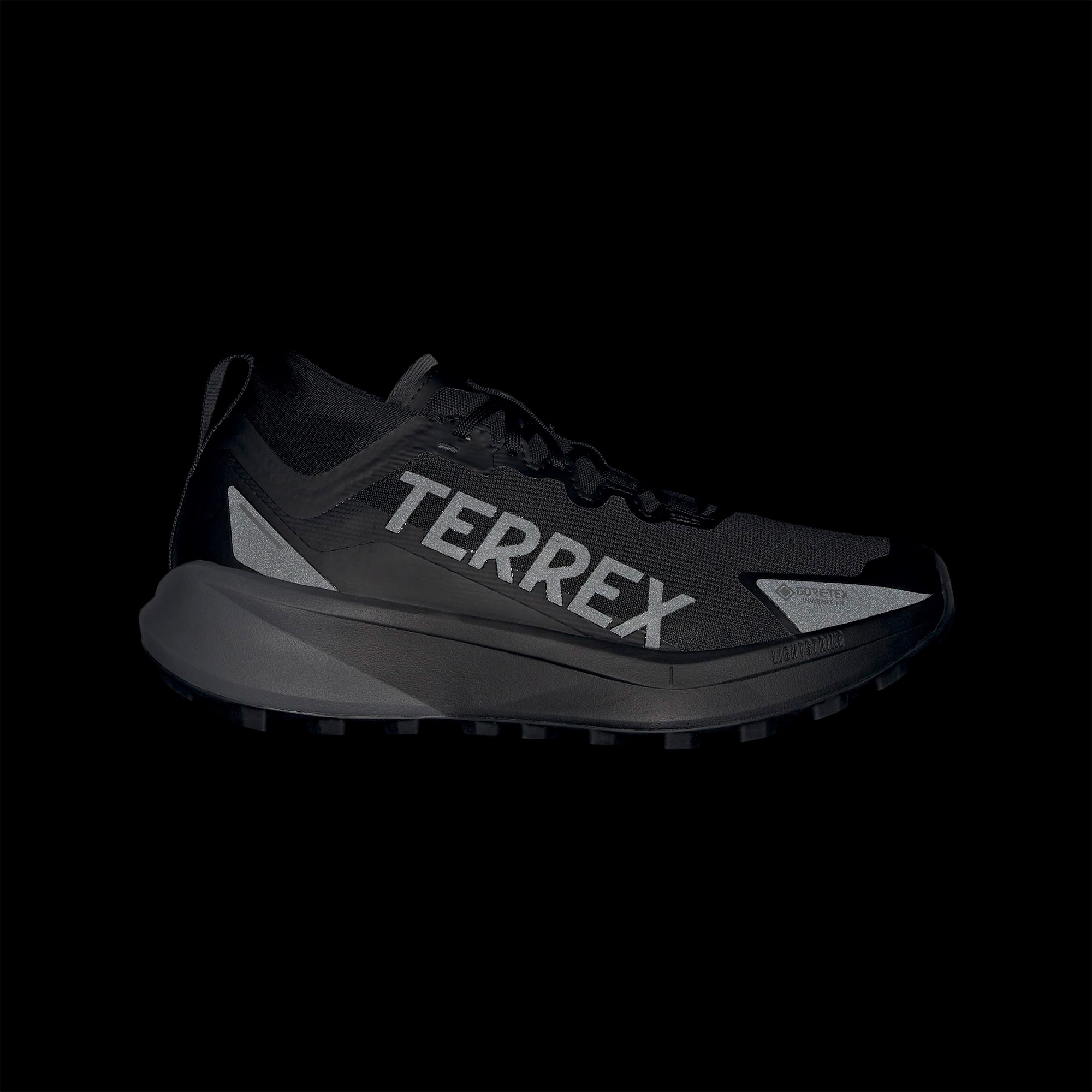 adidas Terrex Agravic Gore-Tex Erkek Siyah Koşu Ayakkabısı