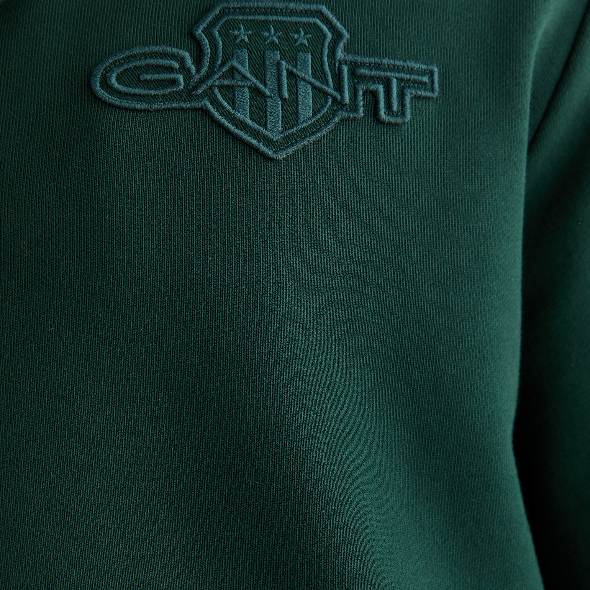 GANT Erkek Yeşil Regular Fit Kapüşonlu Sweatshirt