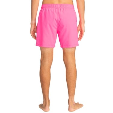  Billabong All Day Lb Erkek Volley Short