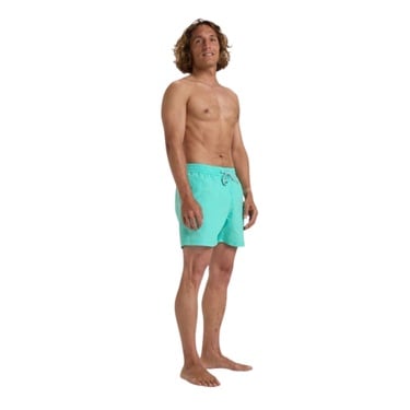  Billabong All Day Lb Erkek Yeşil Volley Short