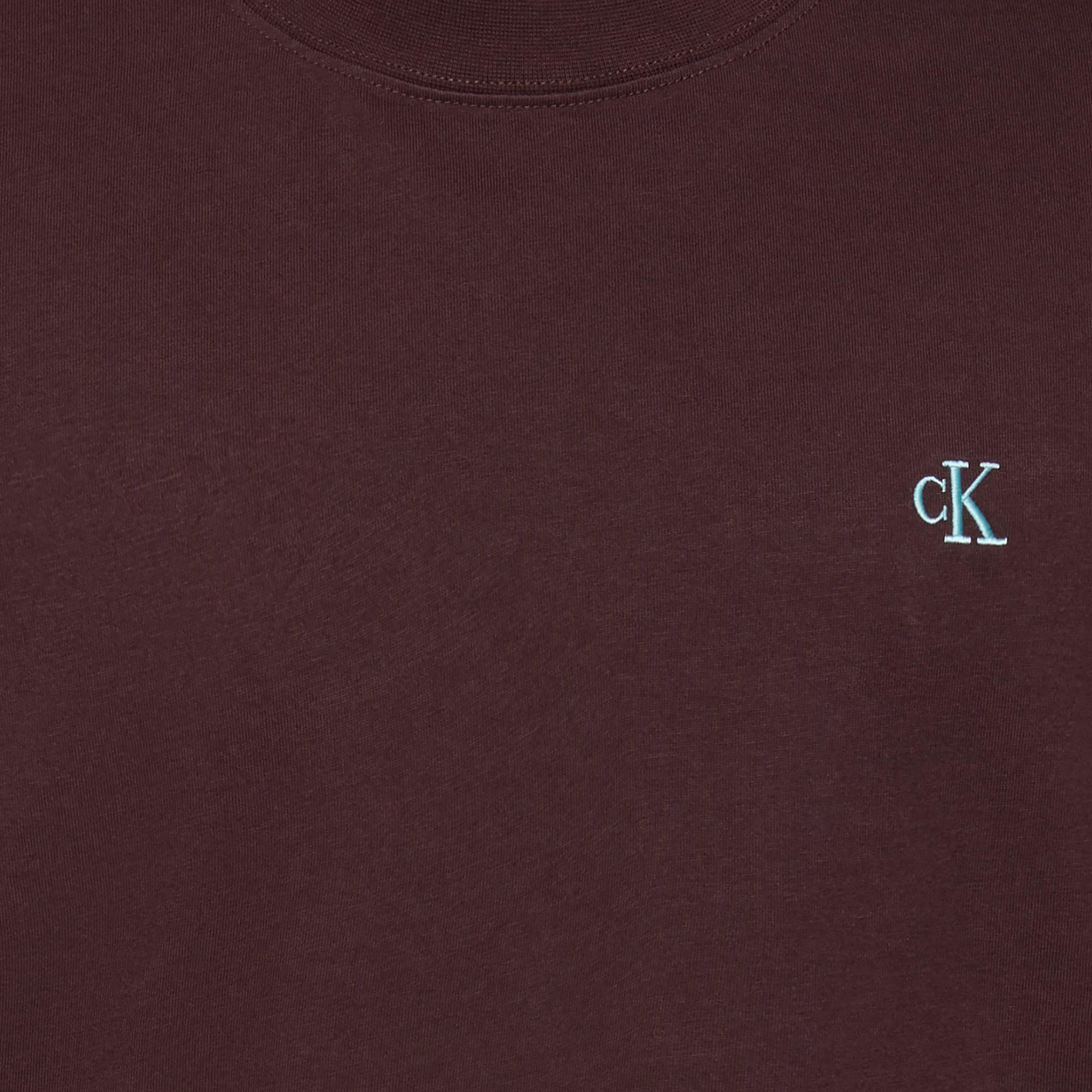 Calvin Klein Easy Monogram  Erkek Kahverengi T-Shirt