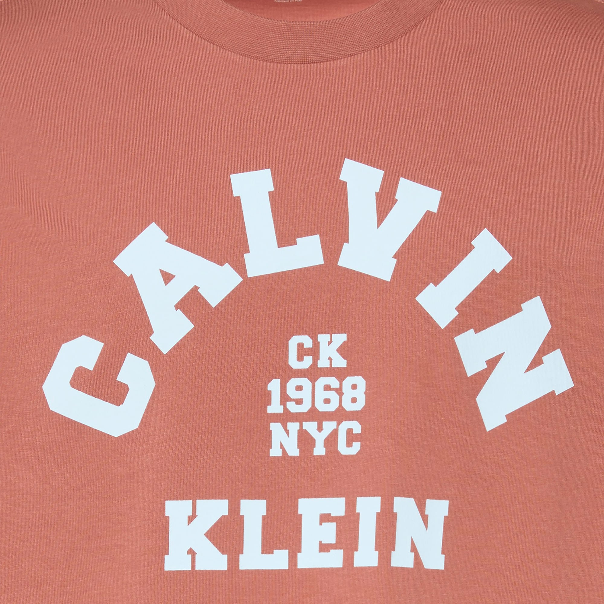 Calvin Klein 20S College Graphic Erkek Kahverengi T-Shirt
