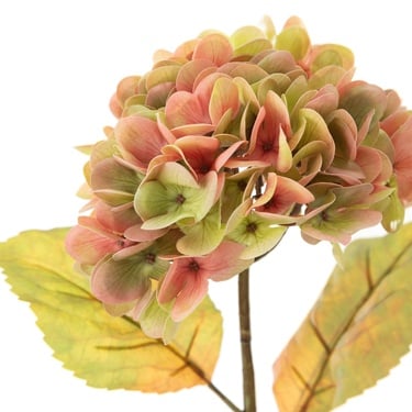  ORTANCA ÇİÇEK YEŞİL  54 CM