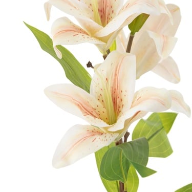  LILYUM ÇİÇEĞİ 86 CM