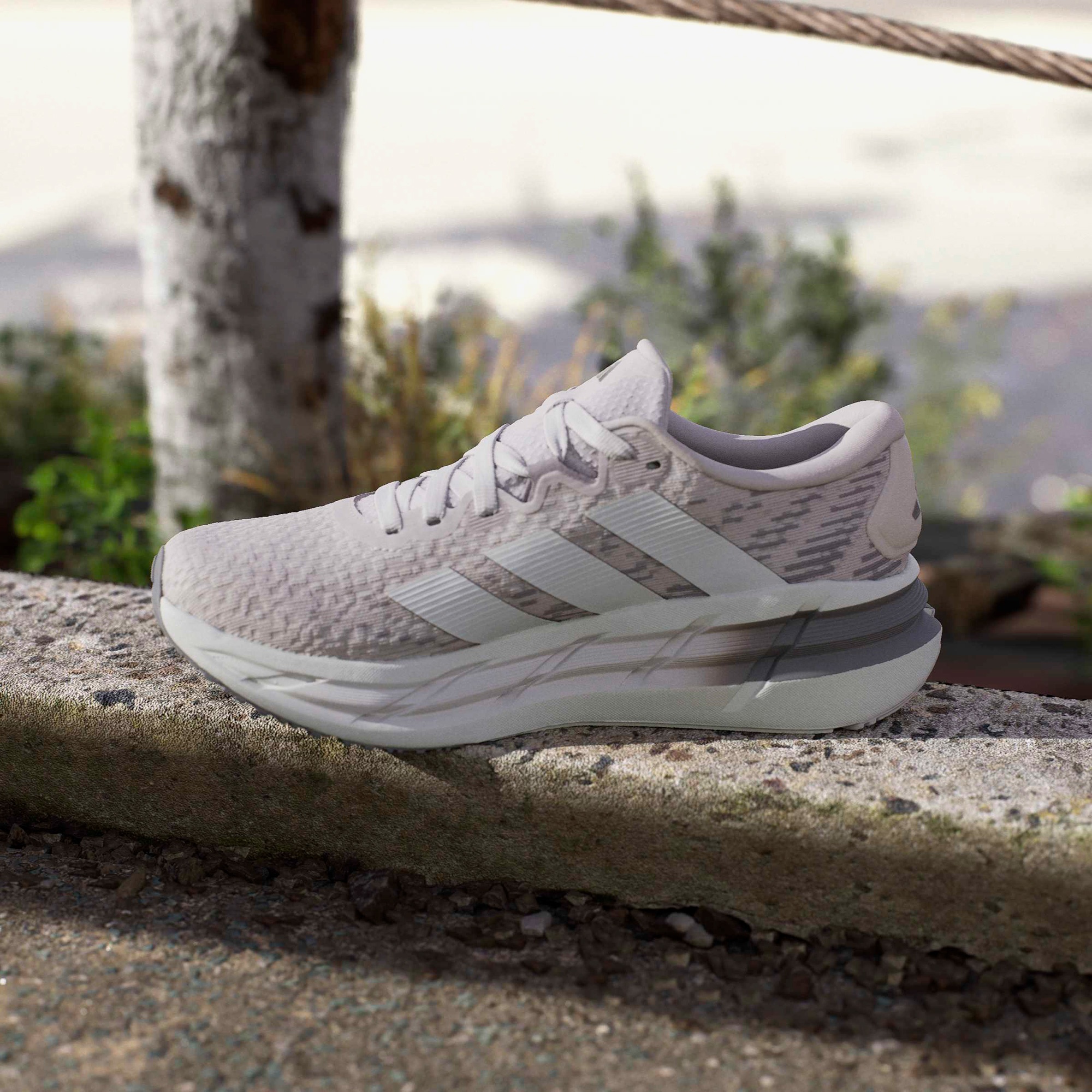 adidas Adistar 4 Kadın Mor Koşu Ayakkabısı