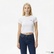 Levi's Essential Sporty Caviar Kadın Siyah Crop T-Shirt