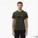 Lacoste Erkek Regular Fit Bisiklet Yaka Baskılı Haki T-Shirt