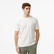 Nautica Erkek Ekru Regular Fit T-Shirt