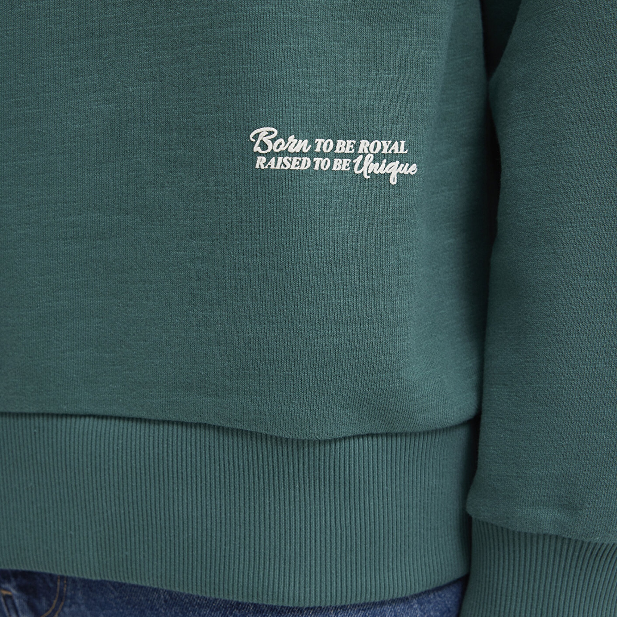 Mavi Kapüşonlu Yeşil Sweatshirt 0S10534-71930