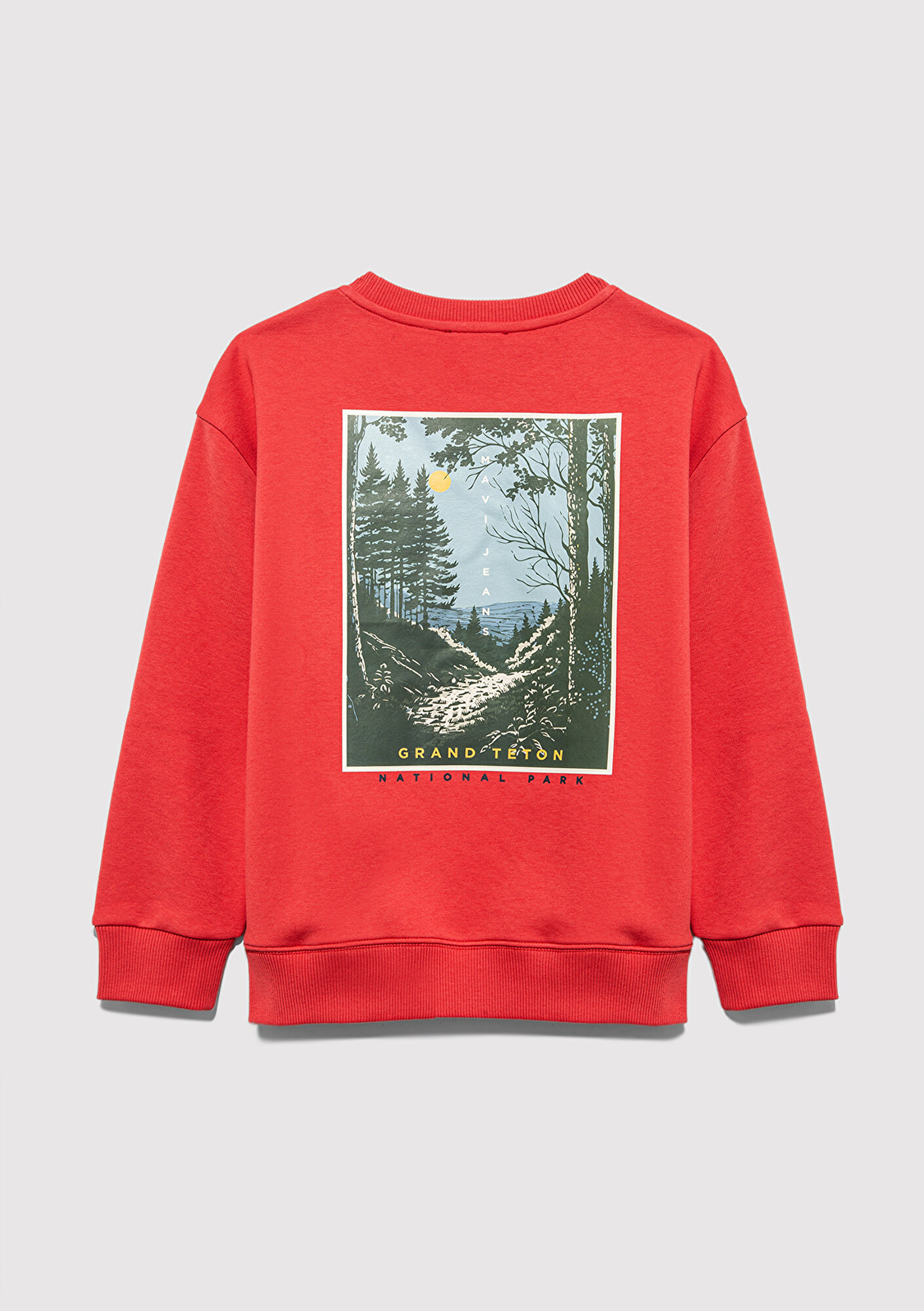 Mavi Nature Roams On Baskılı Turuncu Sweatshirt 6S10148-71079
