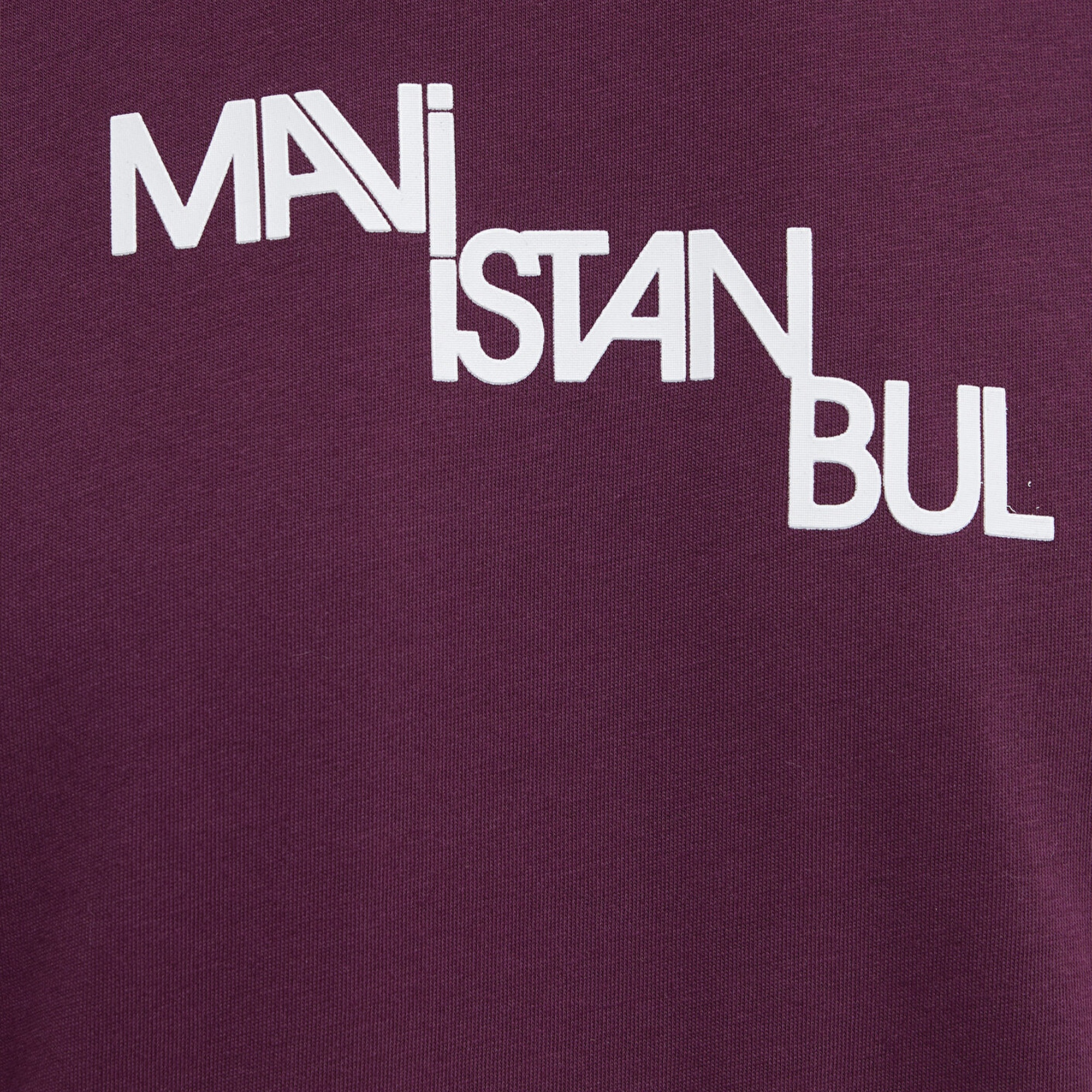 Mavi İstanbul Baskılı Mor Tişört Regular Fit / Normal Kesim 0612274-70670