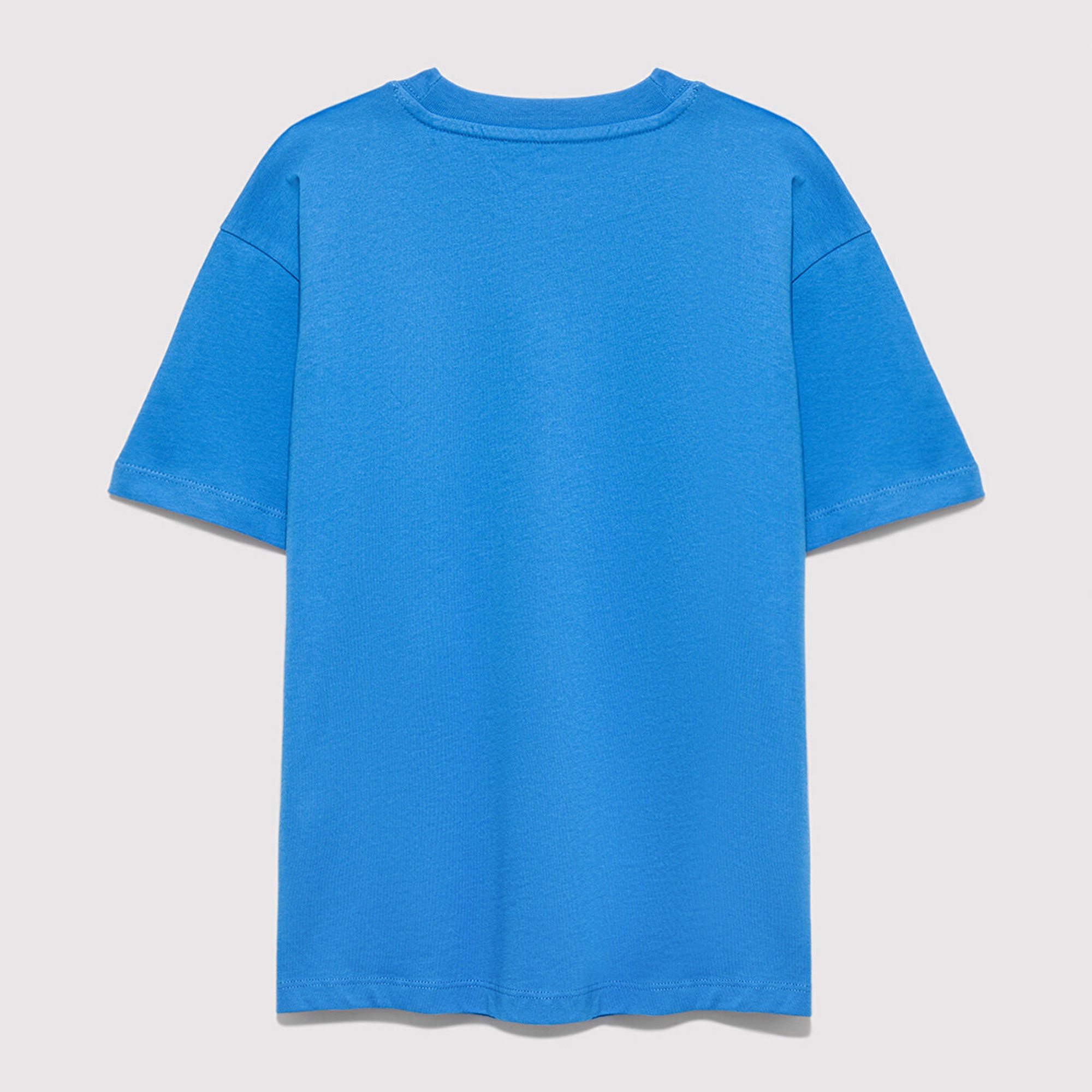 Mavi Mavi Baskılı Mavi Tişört Loose Fit / Bol Rahat Kesim 6610484-70902