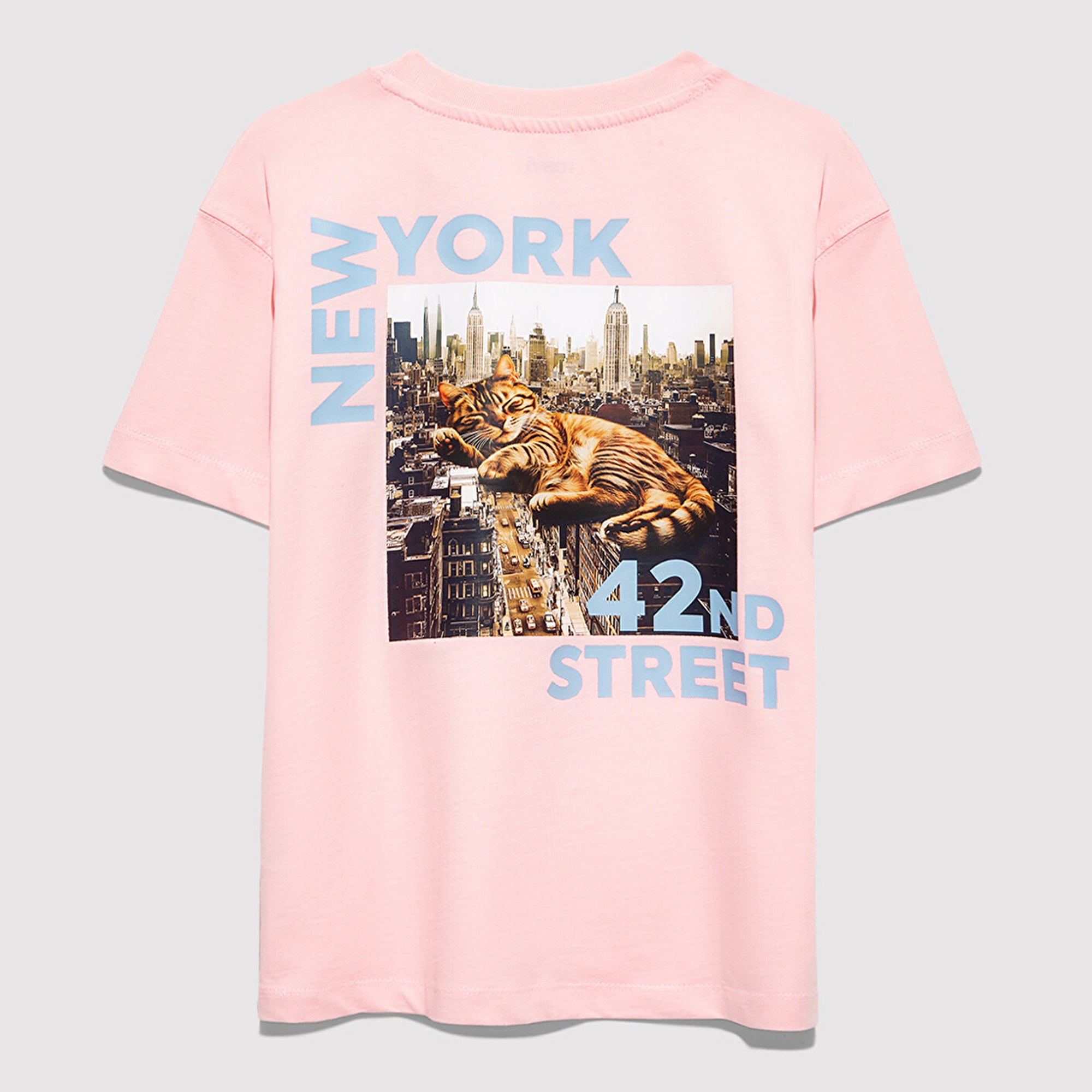 Mavi Baskılı Pembe Tişört Loose Fit / Bol Rahat Kesim 7610402-71007