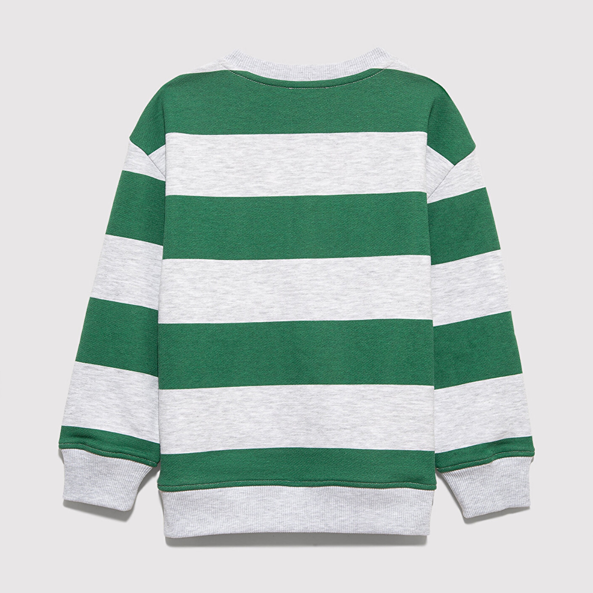 Mavi Çizgili Baskılı Yeşil Sweatshirt 6S10170-71697