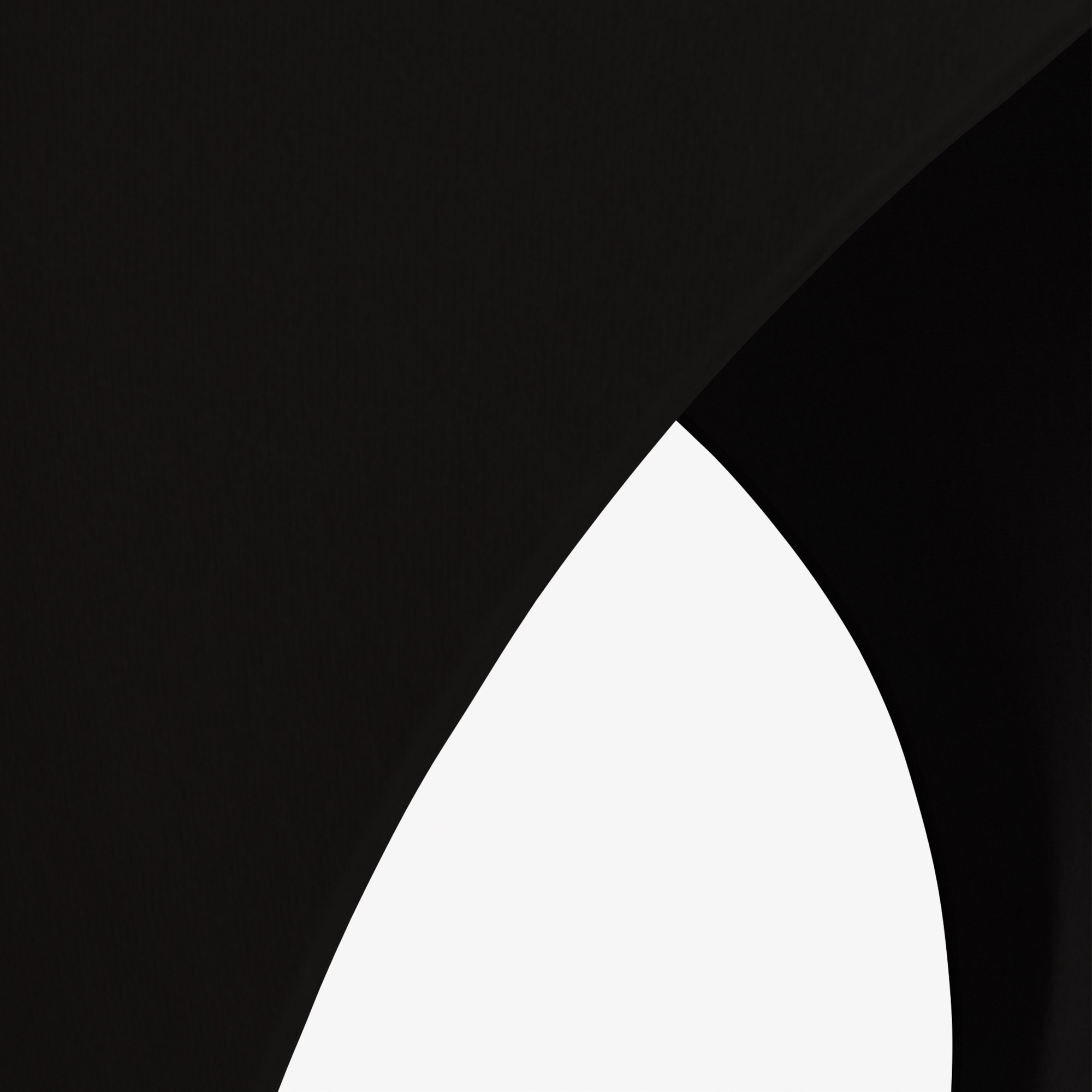 Calvin Klein Brazilian Kadın Siyah Bikini Altı