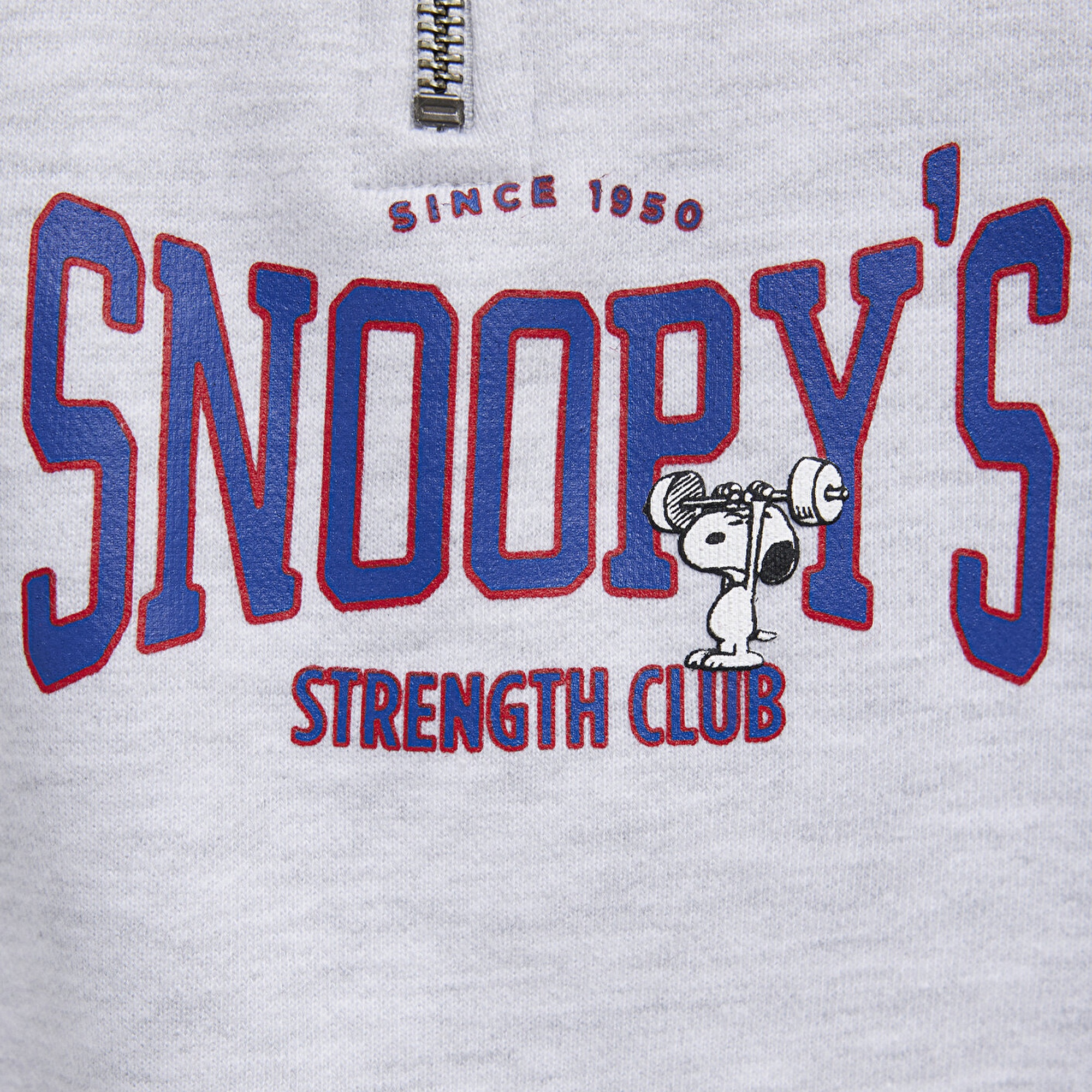 Mavi Peanuts Baskılı Gri Sweatshirt 1S10529-80196