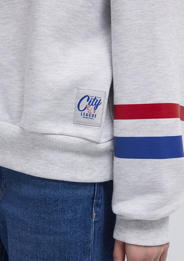  Mavi Peanuts Baskılı Gri Sweatshirt 1S10529-80196