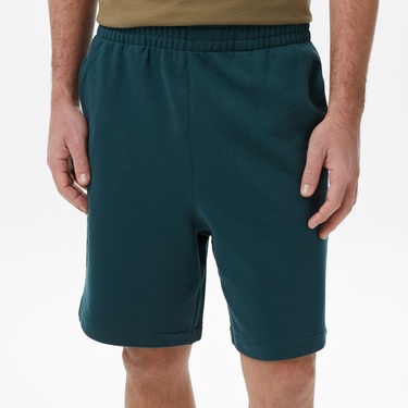  Calvin Klein Nano Standard Logo Erkek Yeşil Şort